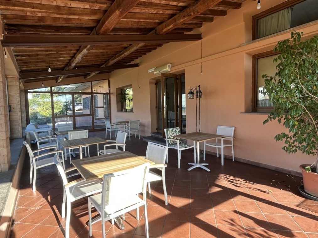 IMG_3936 (FILEminimizer).jpeg